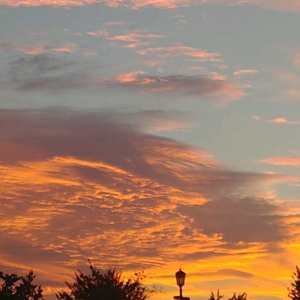 Meet your Posher, Jen